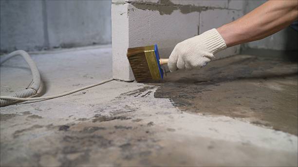 24/7 Emergency Wet Basement Repair experts in Watertown, TN